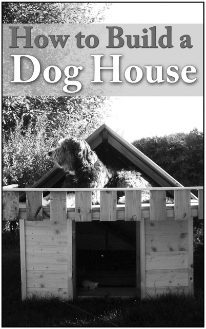 Product picture How to build a Dog House